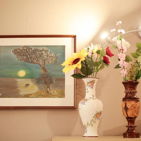 Merlo's Flat Ospedale S Orsola 公寓 博洛尼亚